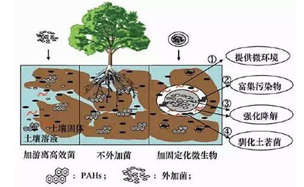turangxiufufangfa